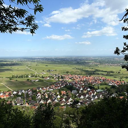Ferienwohnung Am Ringelsberg Frankweiler Exterior foto